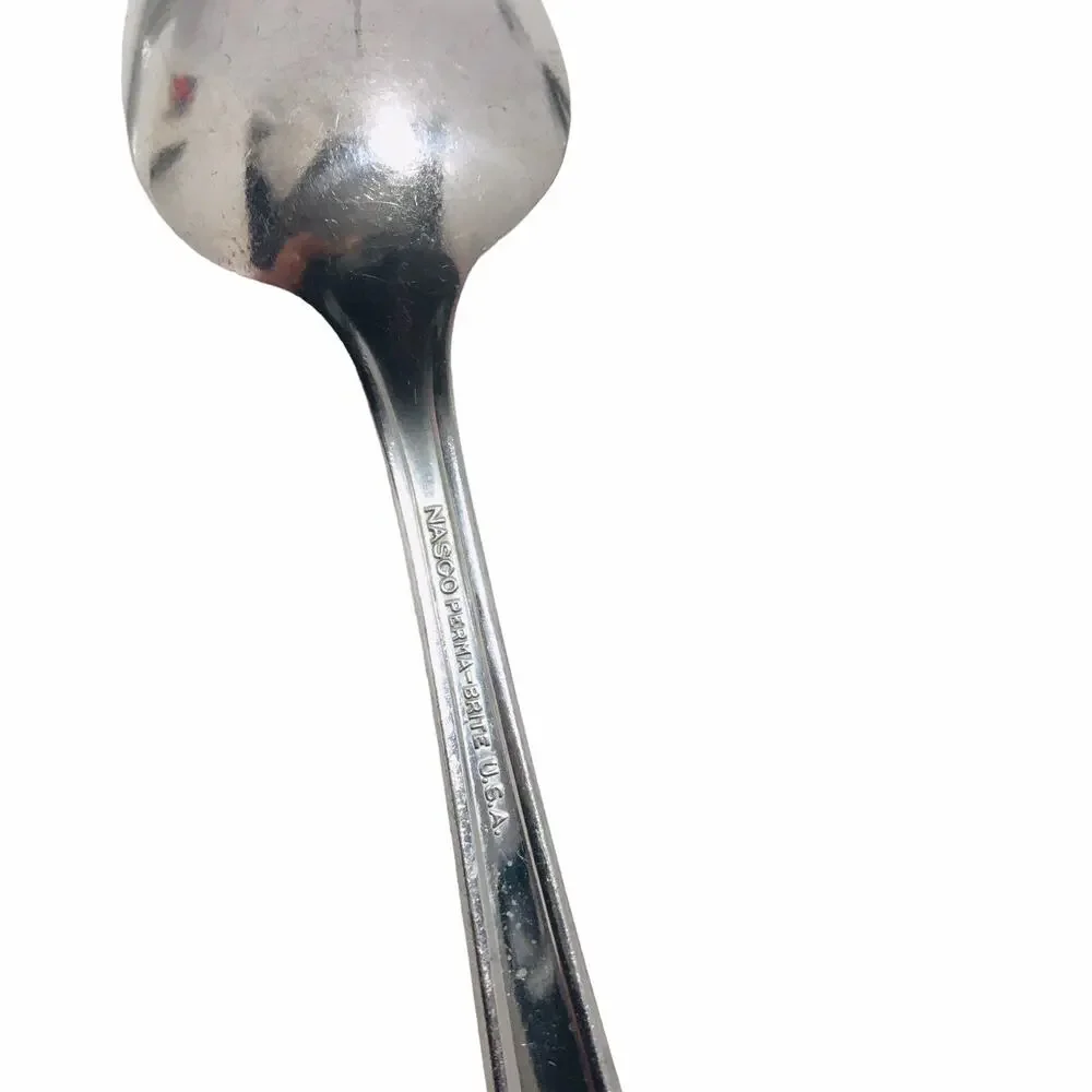 Nasco vintage silver